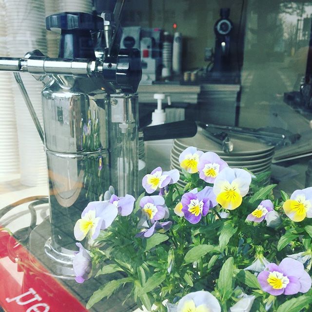 Good morning  #elskaheartcoffee #specialitycoffee #pourover #latte #cuppucino #macchiato #aeropress - from Instagram